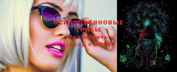 прущая мука Армянск